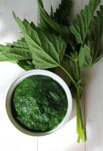 7 Outstanding Benefits of Chlorophyll