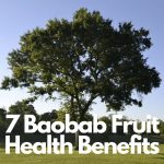 7 Baobab Fruit Health Benefits